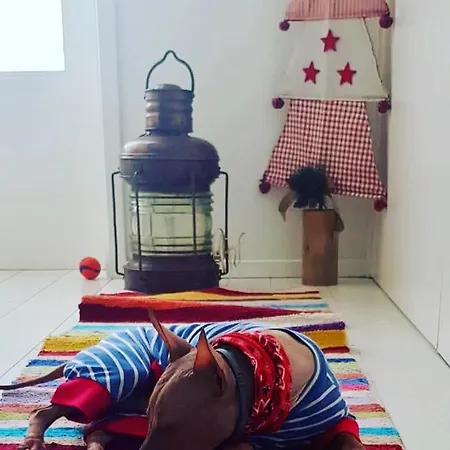 Prázdninový dům M