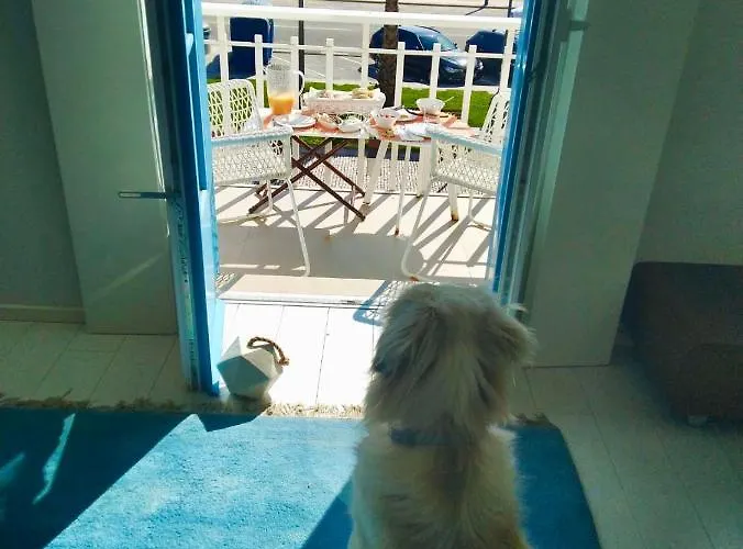 M コスタ・ノヴァ